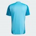 Camisa de Treino Masculina CR Flamengo 2024