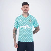 Camisa Alternativa de Goleiro Masculino do Palmeiras 2024
